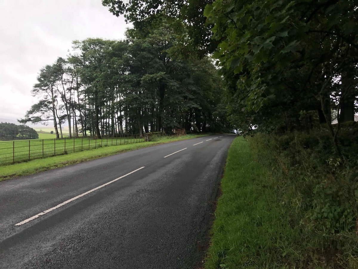 1000Greenthings's tweet photo. Elissa bought some non toxic cleaning spray and walked home from work! #1000greenthings https://t.co/I5drwW2aXU
