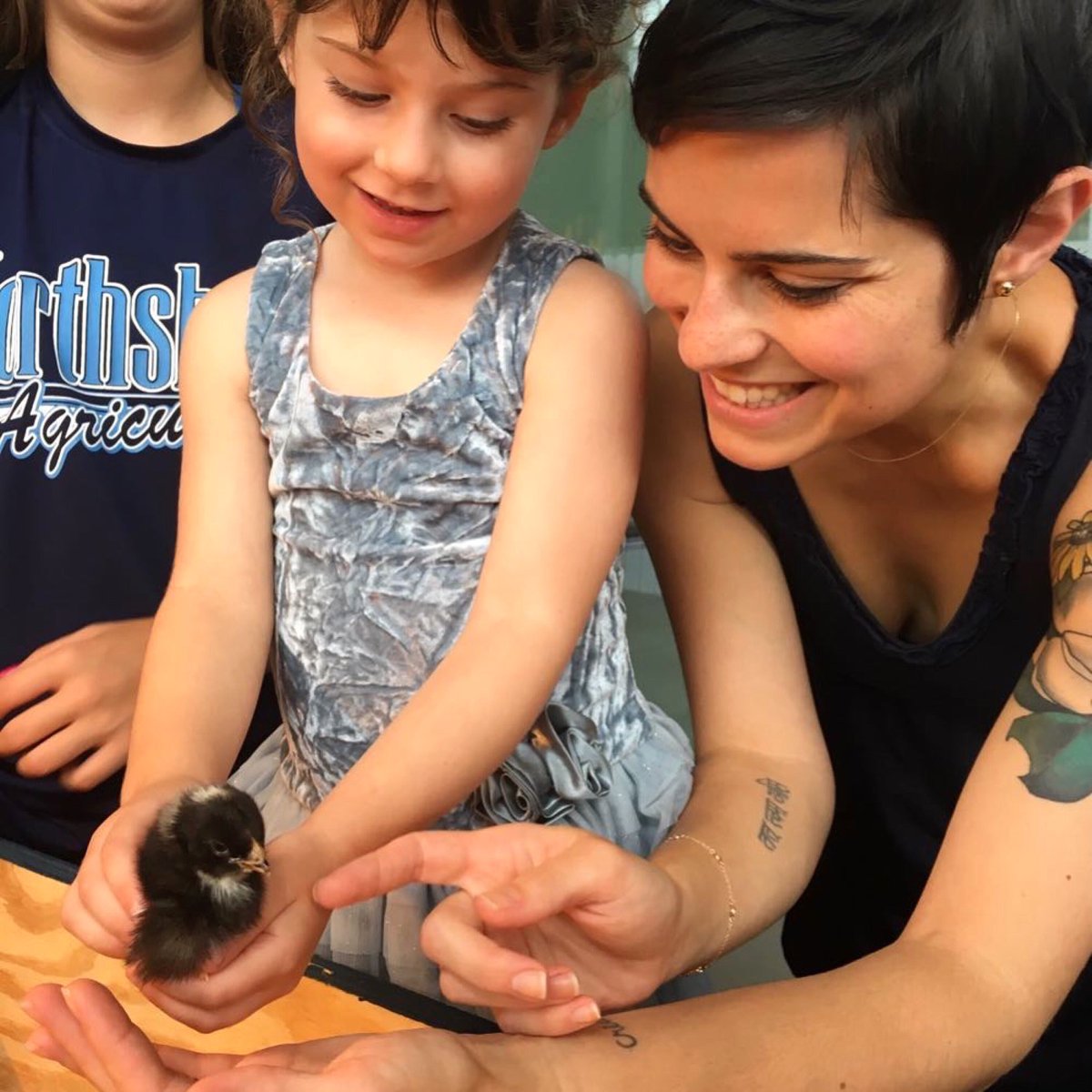 Baby chick TLC = quality family time 🐣
Yesterday was so fun!

📸 by <a href="/davidspartytime/">davidspartytime</a> on Instagram