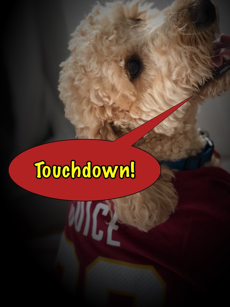 crystalcaroesq's tweet photo. Can’t believe I am missing this game.
What’s this I hear about #Touchdown s???
#HTTR #TouchdownPets #RedskinsTweetTeam https://t.co/h6kGimkbIE