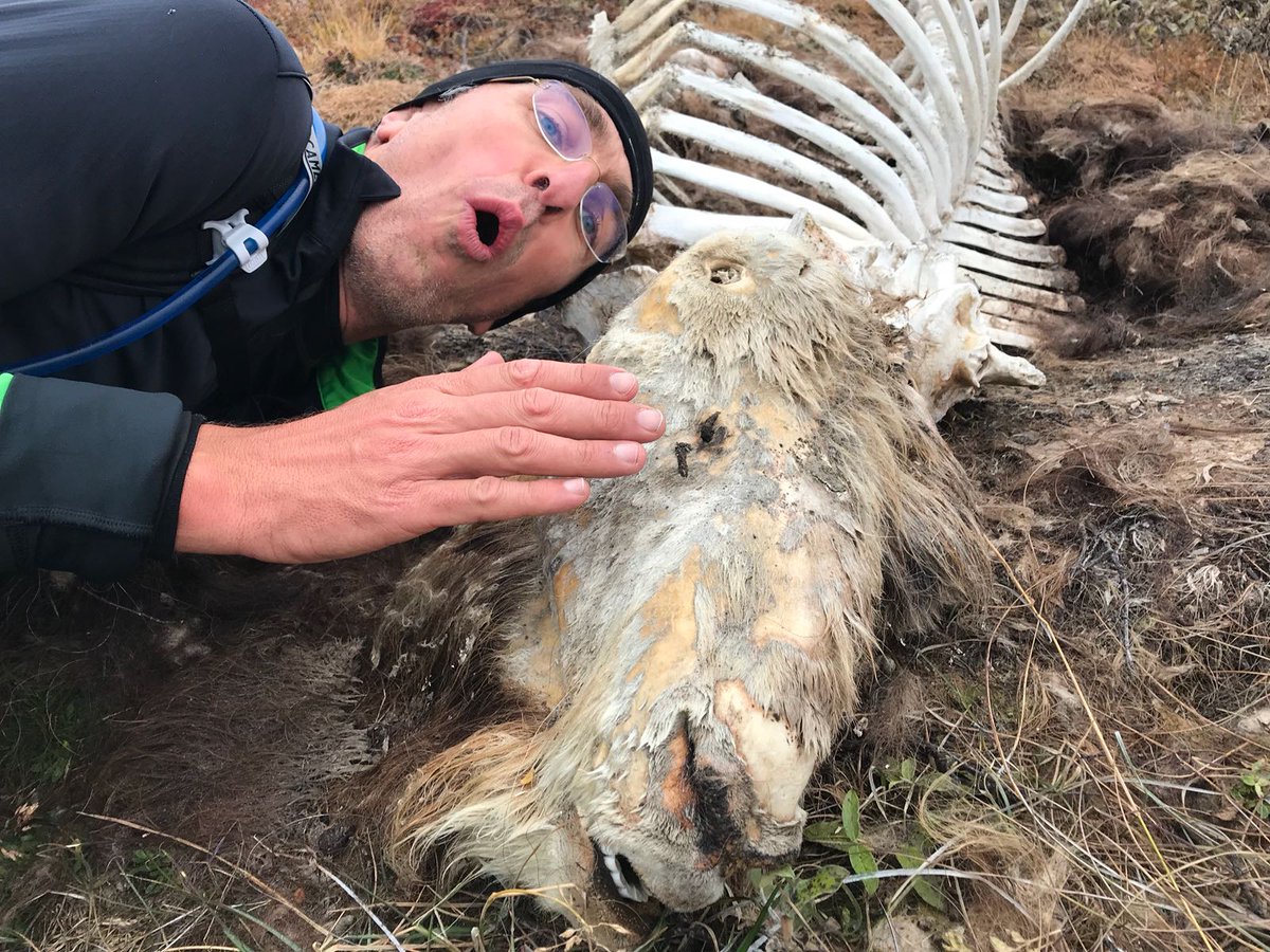 Boundaries were passed and increasingly raw terrain was explored during Day 2 of our Greenland Trail Run Expedition.  Please visit our blog at polarcircles.com for more details of a challenging and rewarding day.