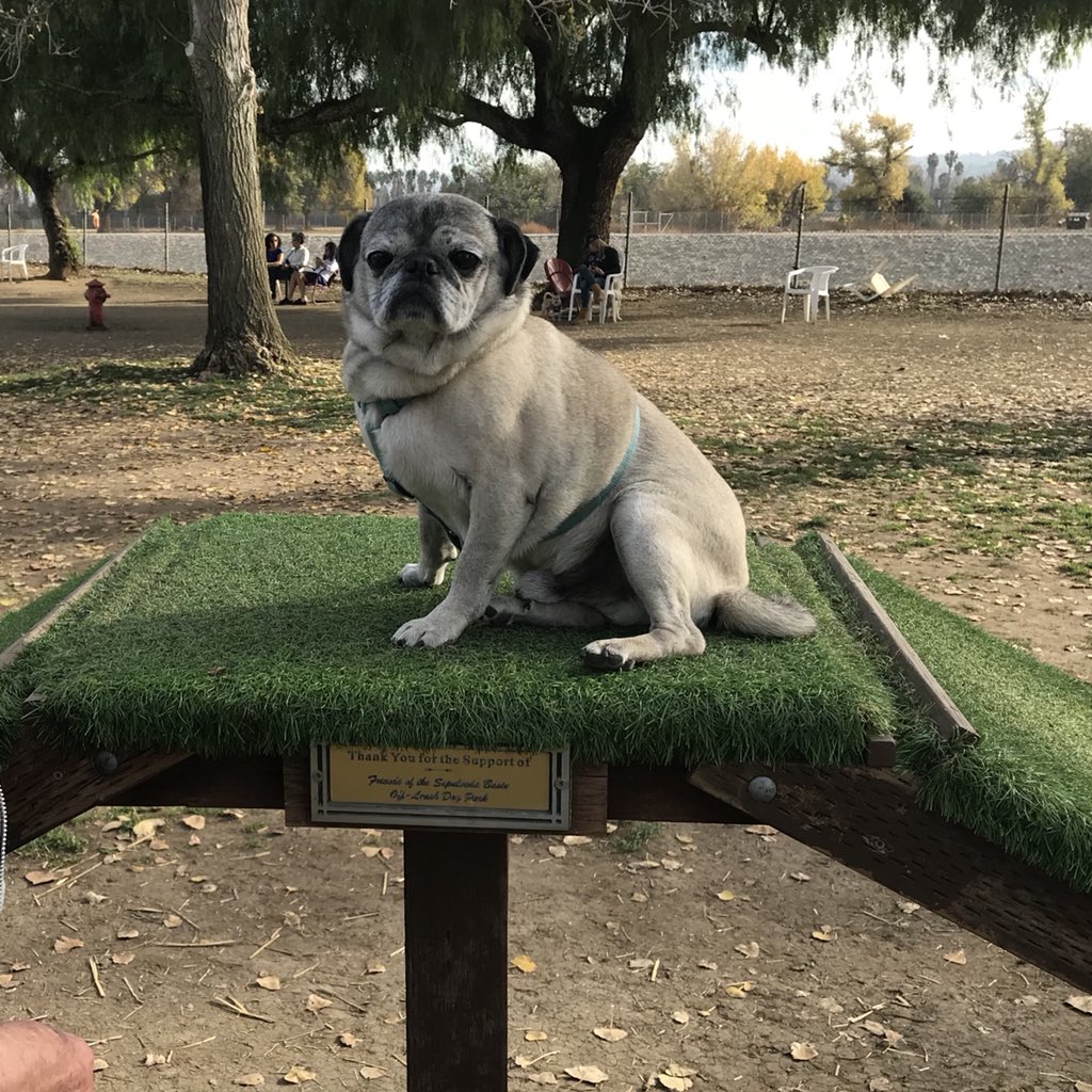 mackenzie tweet media