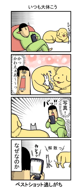 集まれや

#こまちとタビ 