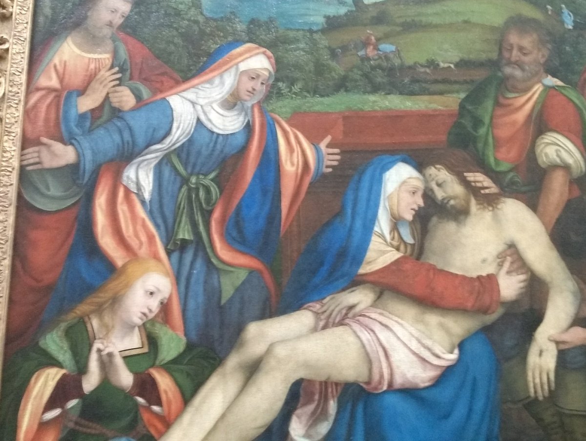 Amo Aimo ⚓ tweet media