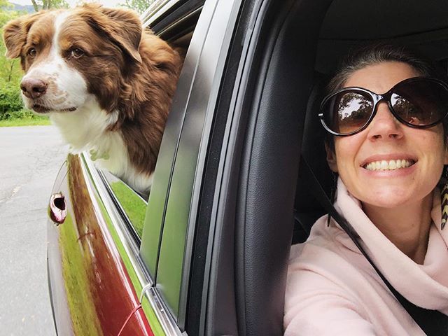 soupatraveler's tweet photo. On the way out of town this morning. Back home in rainy Philly now. Major’s had a bath and everything’s been put away. Back to the grind again tomorrow. #australianshepherd #anaussieslife #majorsworld #lifeandlovewithmajor #hollyclarkphotography https://t.co/UdHEaMoGWU https://t.co/iMHoyyeK0W