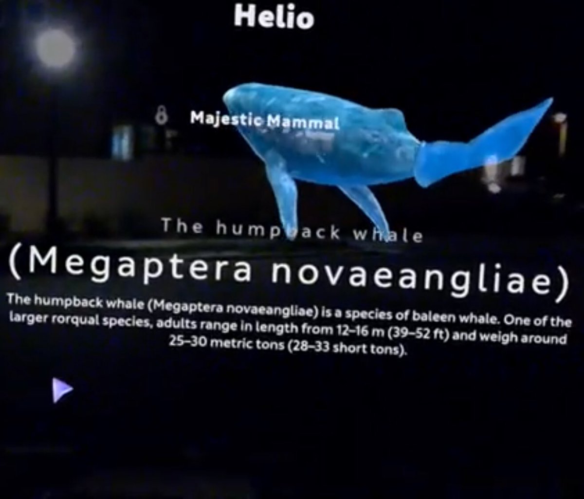 Remember the breaching whale inside of the school gymnasium? Well, here’s a look at the footage of a whale using the Magic Leap Helio browser
bit.ly/magicleap7
#vr4class #virtualreality #VR #MagicLeap #helio #AR #AugmentedReality #ar4class