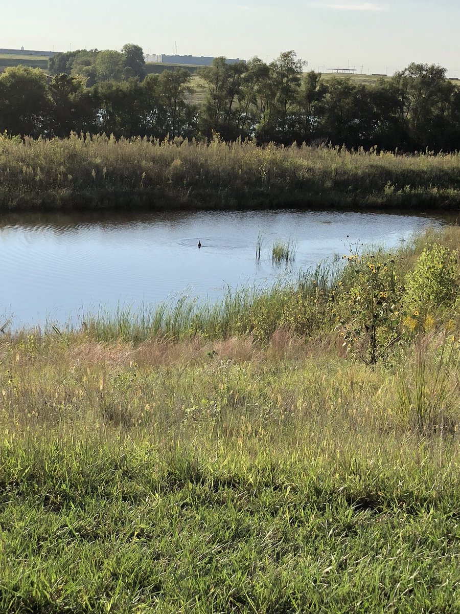 KellyCalderone's tweet photo. Gorgeous weather on this eveningโs walk ๐พ Just had to capture some sunny photos โ๏ธ #eveningwalk #pupsonawalk #itfeelslikefall https://t.co/id9EVgCo6I
