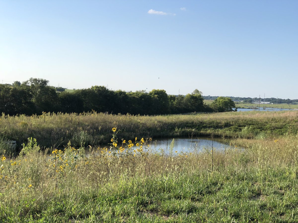 KellyCalderone's tweet photo. Gorgeous weather on this eveningโs walk ๐พ Just had to capture some sunny photos โ๏ธ #eveningwalk #pupsonawalk #itfeelslikefall https://t.co/id9EVgCo6I