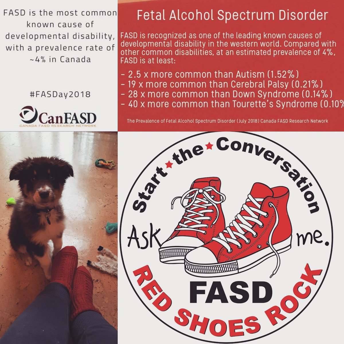 September 9th is FASD day the 9th day of the 9th month to highlight 9 sober months of pregnancy. Here are some facts about Fetal Alcohol Spectrum Disorder that you may not know. #FASDay2018 #redshoesrock I don't have red shoes but I do have these warm red socks @FASDwr @CanFASD