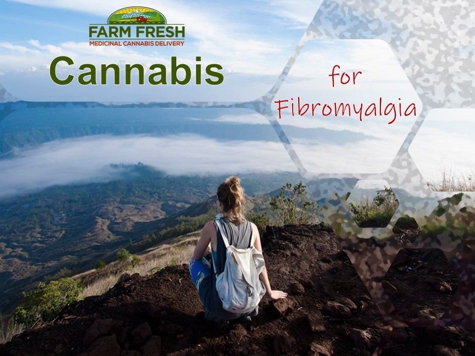 Many suffering from Fibromyalgia have praised the relief they experience using Medicinal Cannabis. Sour Diesel vape cartridges are a great way to manage symptoms throughout your day. And many of our own members love our Pure Healing Balm! #farmfreshmmd #organiccannabis