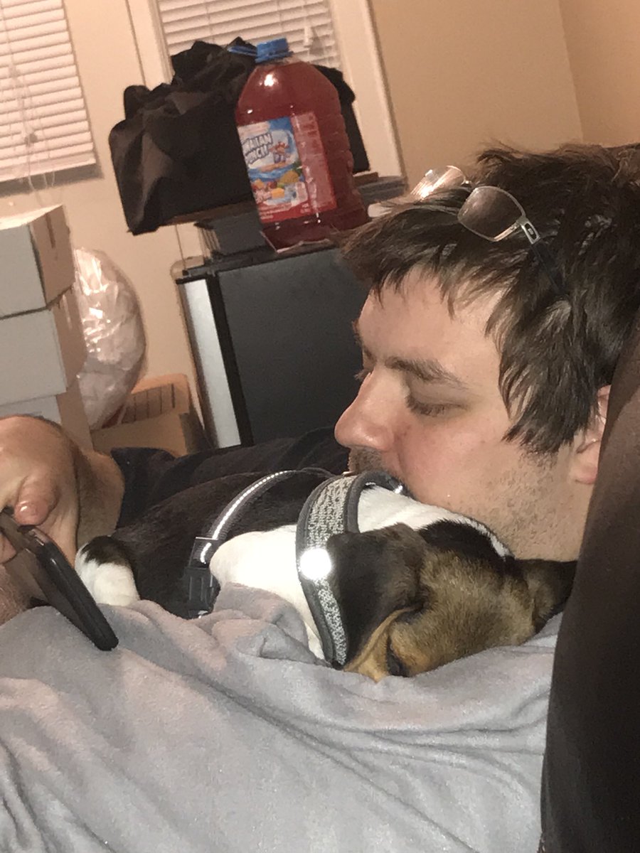 Alyssa_Marie514's tweet photo. Taking a break from unpacking and I look over to see this. She loves to cuddle! https://t.co/yBdXKpUhRE