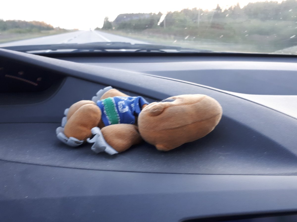 LLauraMayhem's tweet photo. Agumon gets it

#longdrive #sleepy #digimon #agumon https://t.co/ww2Se9Ew9l