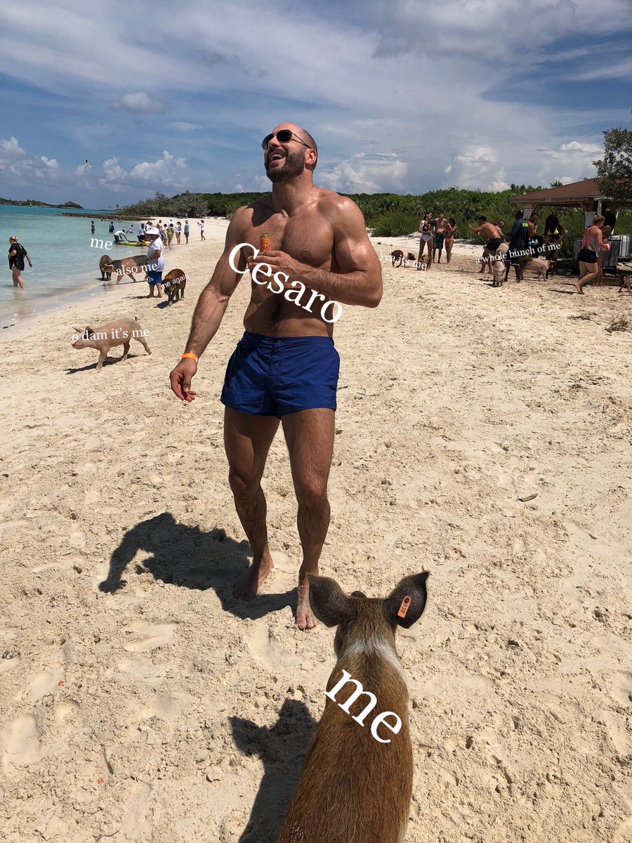 WRESTLESPLANIA (@wrestlesplania) on Twitter photo 