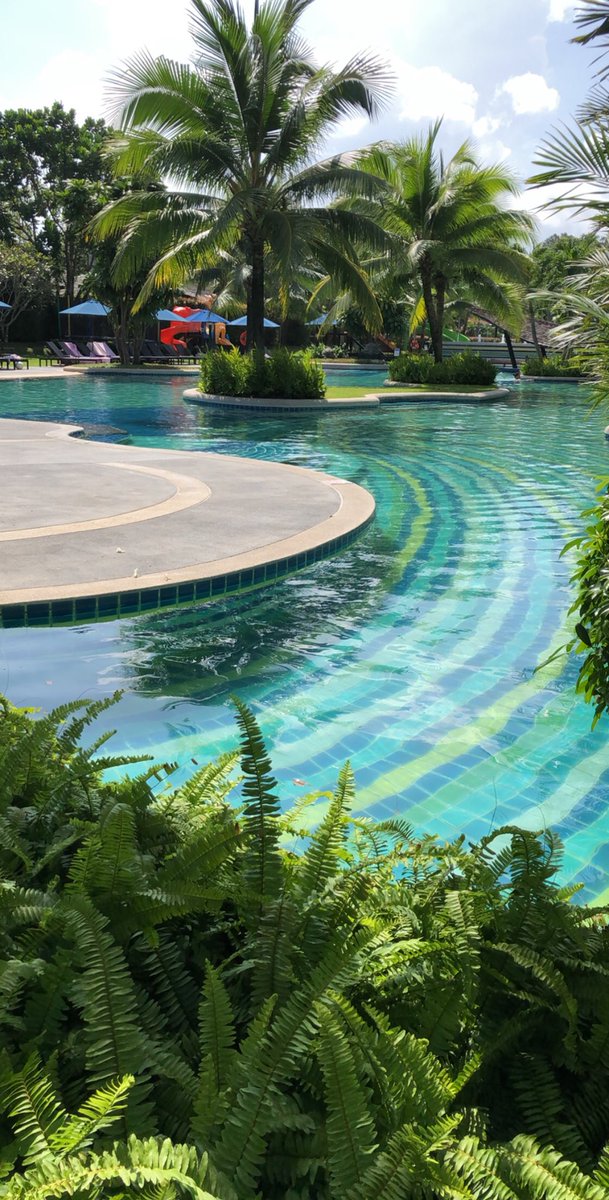 Aysha ✨ (@umn3oomiii) on Twitter photo 