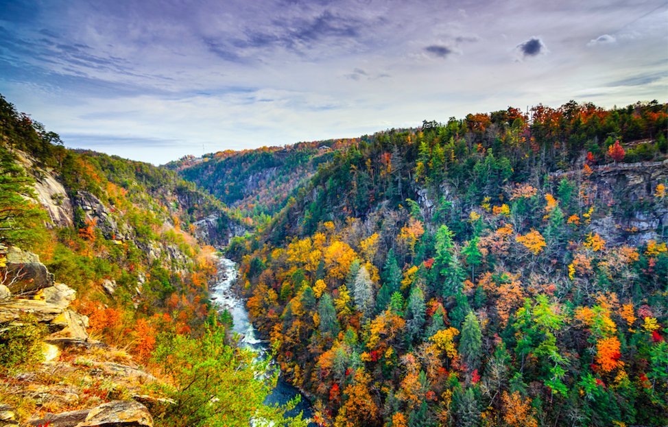 ExploreGeorgia tweet picture