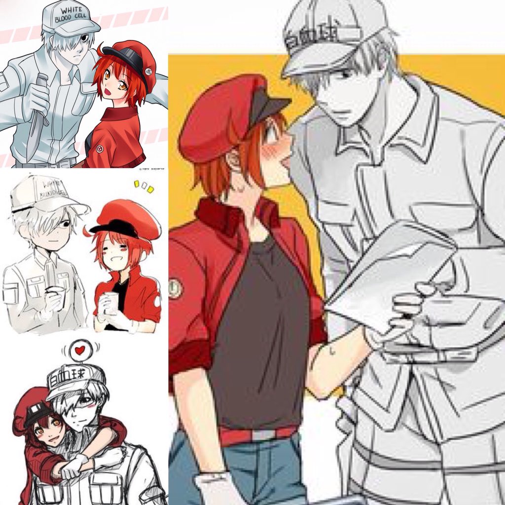 Cells at work, white blood cell x red blood cell