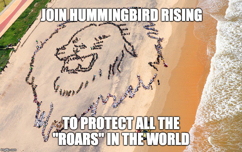 humandalasf's tweet photo. THE BUZZ HEARD ROUND THE WORLD! Join 500 people to create the largest Hummingbird Human Mandala @ 4pm, Crissy Field, SF. Together let’s Rise for Climate Justice. Bring friends! Register to get your headset. https://t.co/rPgFtAULlH @Greenpeace @climateribbon @AmazonWatch https://t.co/JNAzlpNK0s