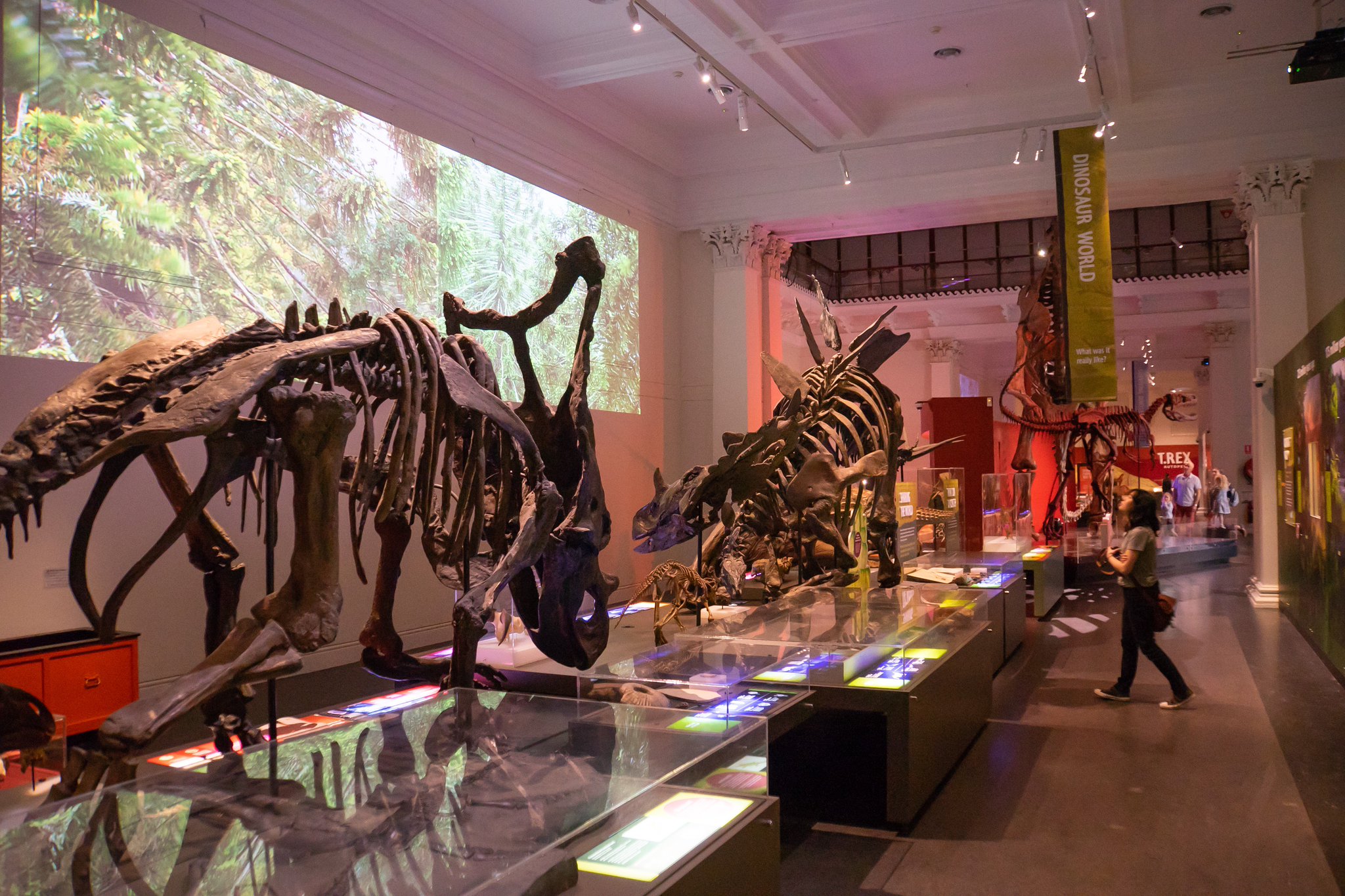 victoria museum dinosaur exhibit