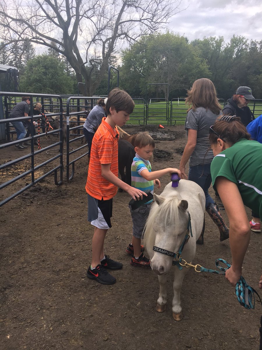 soulharborranch's tweet photo. Loved having Katie O’Reilly of “Katie O’s Food Carnival” at SOUL Harbour Ranch to tape her TV show and cross-promote with @CindyAshton for the kick-off of “Innovation Uncorked.” Plus her boys had fun with our mini therapy horses! @ktofoodcarnival https://t.co/DwbjRR5ubS