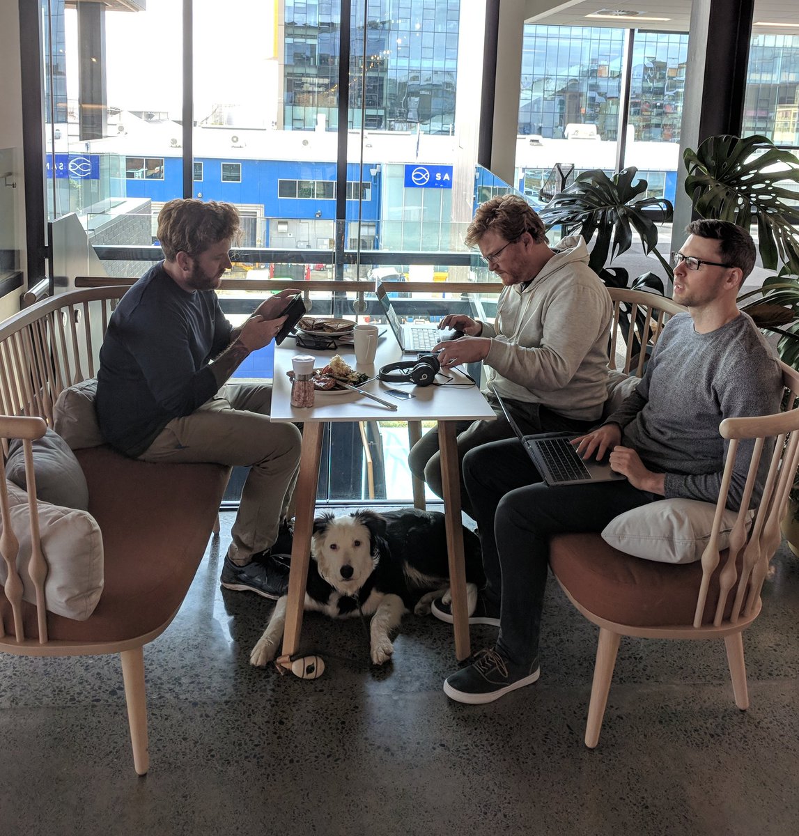 Laura Harris tweet media