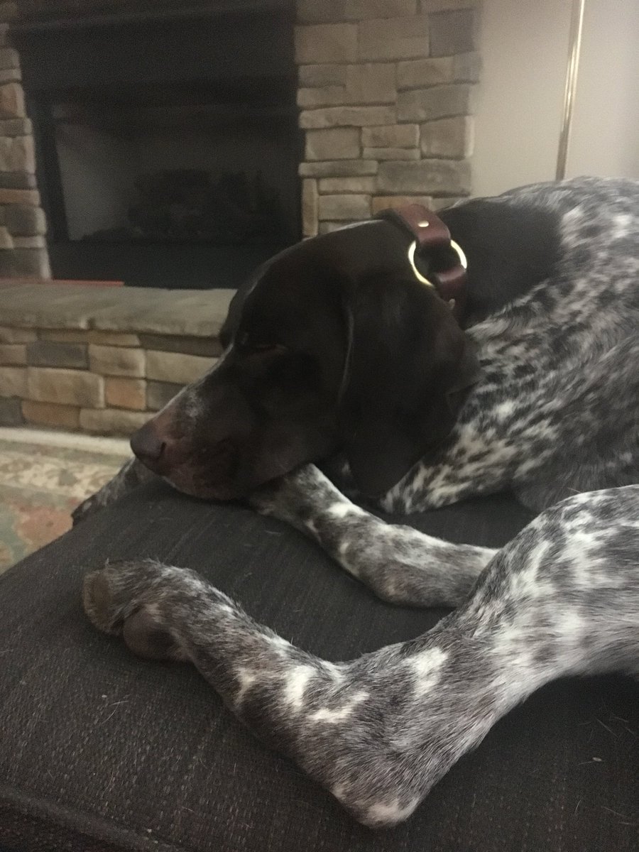 Alyssa_Robin's tweet photo. @jcclem20 Hank gave up https://t.co/nQfeX3yU3o