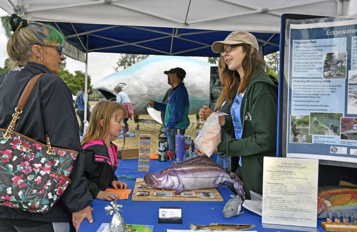 goskagit's tweet image. Festival highlights importance of salmon

skagit.ws/2Qi7qy0 #skagit