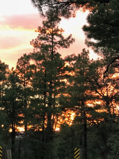 CehsDECA's tweet image. Your DECA officers had an AWESOME time at the Leadership summit in Prescott AZ. From crazy laughs, to learning valuable info to thrive as a chapter, to eating yummy smores by the bonfire, its safe to say it was a memorable experience! Next meeting will be Sept. 18 in room 500🔷️