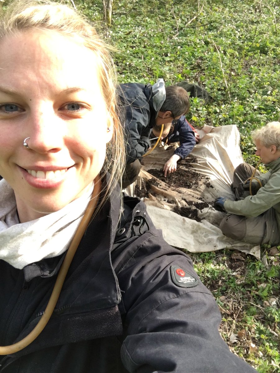 Resolving the evolutionary relationships of the World’s Largest Animal Family! 🗝️ Check out Janina's #BIG4Results! ▶️
big4-project.eu/news/11655_blo…’s-largest-animal-family---challenge-accepted!/