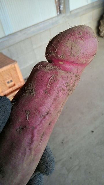 continue1007's tweet image. 