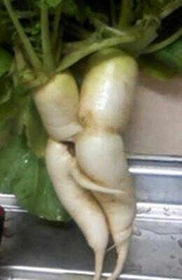 continue1007's tweet image. 