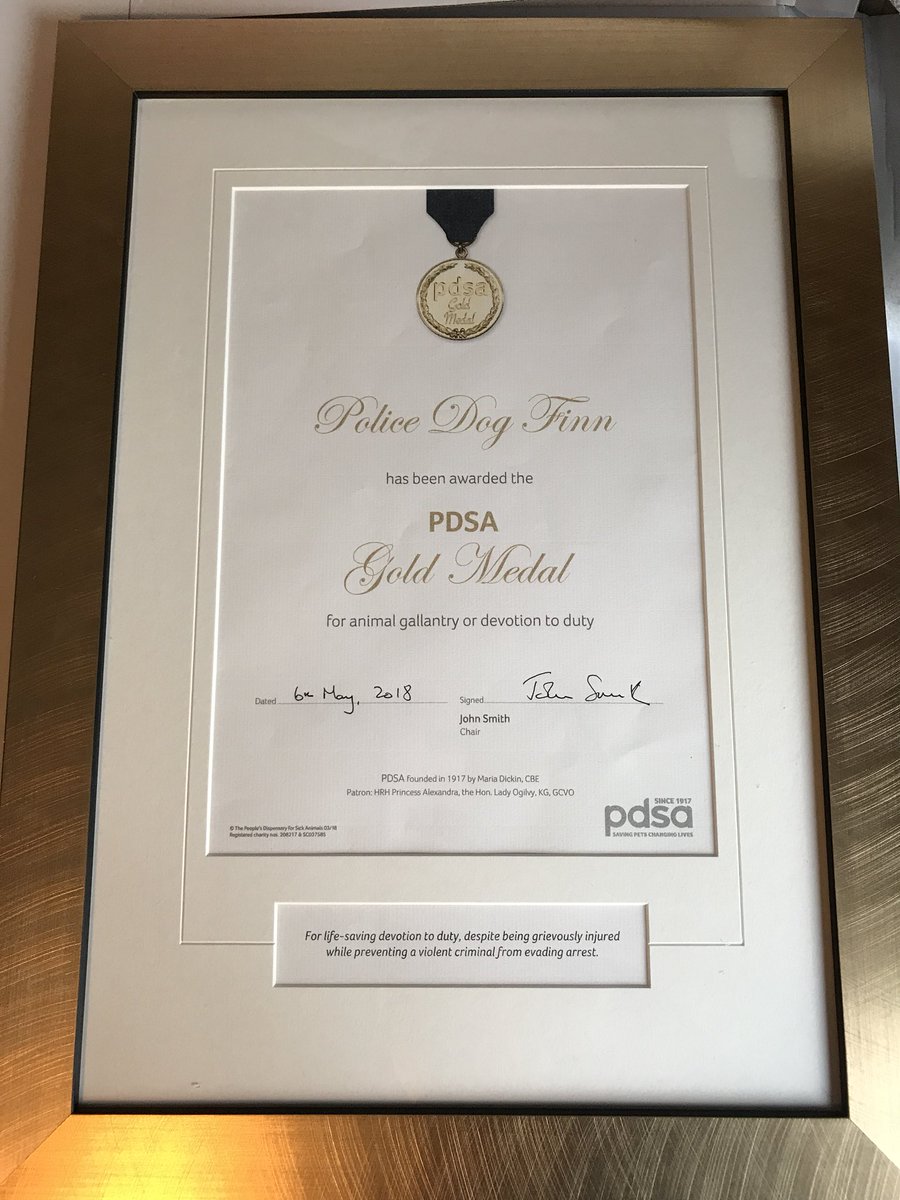 K9Finn's tweet photo. Very special day for #FabulousFinn as he heads in to HQ with me today for the unveiling of his @PDSA_HQ Gold Medal certificate and citation. 🐾🐾 https://t.co/yztYI7AY9y