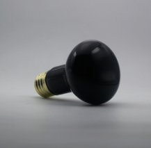 youngfinelight's tweet photo. Reptile Moonlight Black Light Bulb 
If you have demand about our products, welcome to our website know more details #lamp
https://t.co/6E6JxKlamA https://t.co/bIZ4FRI3UC