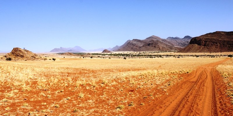 Fundraising for the 72 hours Kunene Annual Full-Moon Counts. tosco.org/2018/09/10/fun…