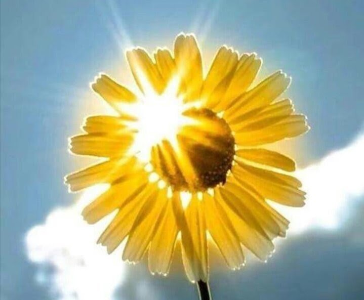 lisbeth_5066's tweet image. Con l'arrivo di una nuova settimana, ricompari qui, per ristabilire quel legame che si fa sempre più forte... Con il nostro caffè a fare da collante.
Buongiorno e buon inizio di settimana @UnTemaAlGiorno e a tutta la splendida #family 
#Ilsinonimo