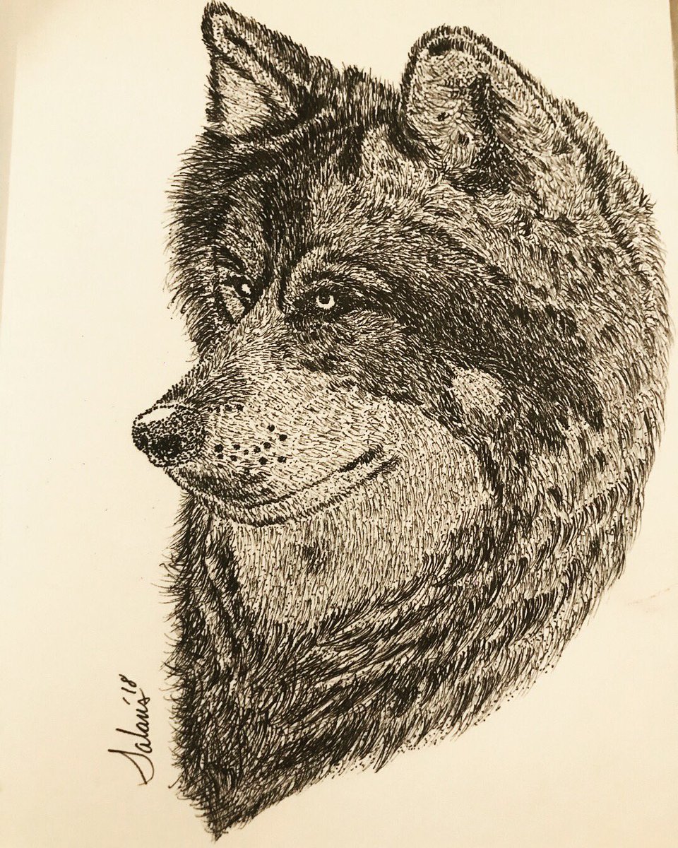 salanishidalgo's tweet photo. Lobo terminado 😉 🐺😍 #drawing #wolf #wolfink #wolfdrawing #drawpractice #staedtlerpens #staedtler #staedtler01 #scketching #sundaymood #sundayraining #drawinprocess #elartesecomparte #artline #artilinepen #artline02 #pencildrawing #pencil #art #arts #wolfart #drawing #draw https://t.co/B9lKi47MDl
