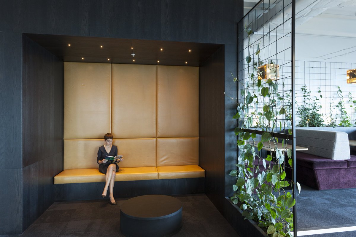 STACKNZ's tweet photo. With a strong pedigree in Auckland stretching back over 75 years, Commercial, Property and Litigation lawyers Shieff Angland saw a great opportunity to use their move to enhance their already strong family culture. #shieffangland #officedesign #stack  https://t.co/pTW8fWUbYx https://t.co/PwpWLMigUB