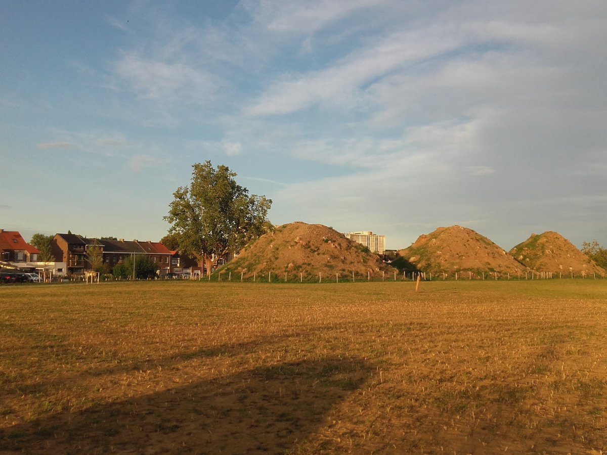 OctaviusRomein's tweet photo. Nu ook open voor publiek: een openbaar park rondom de gerestaureerde tumuli (grafheuvels) in Tienen, België. https://t.co/PaR4asNwkq