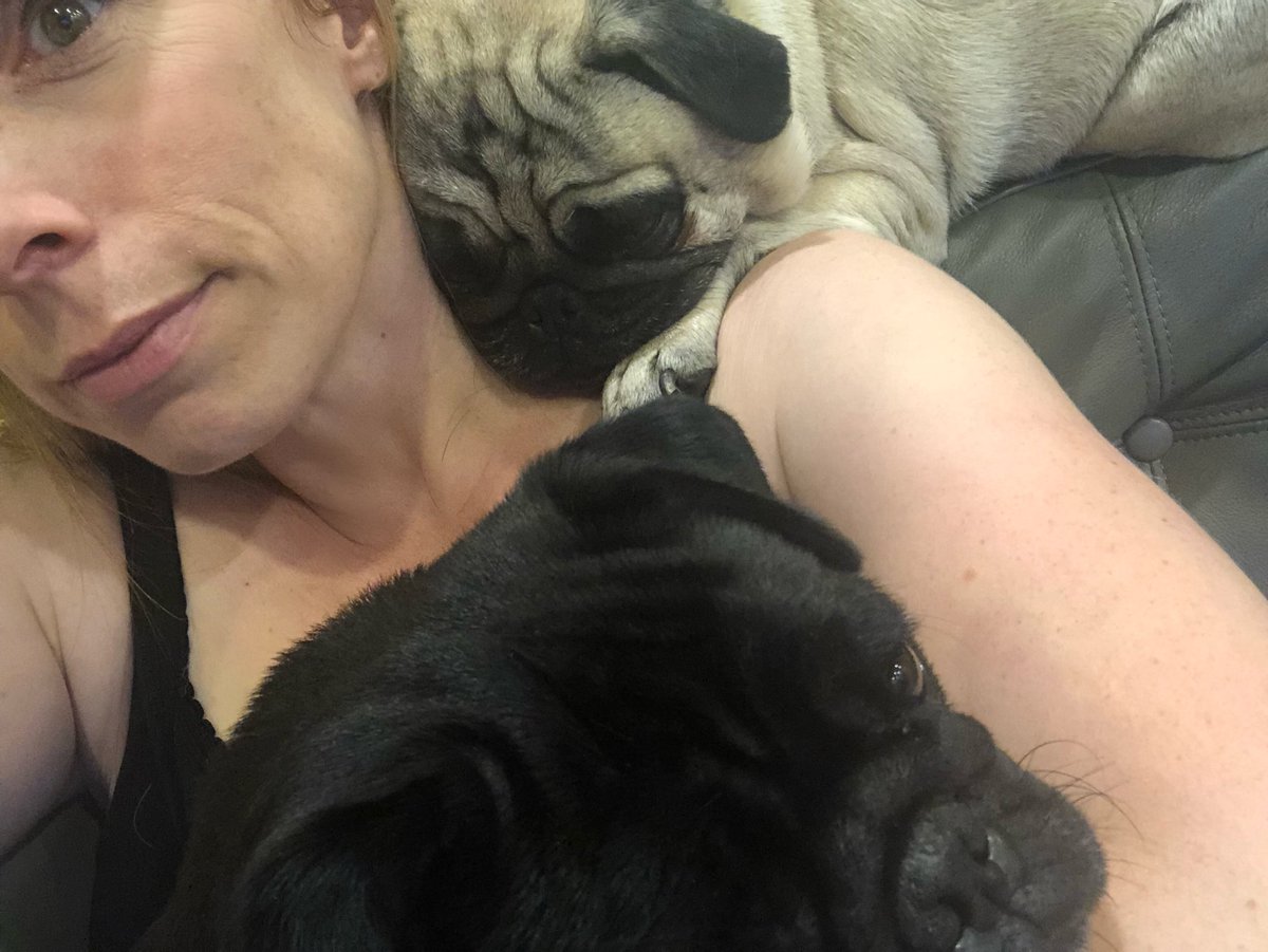 pugchronicle's tweet photo. #pugattack #pug #pugs https://t.co/hcfRXuz1da