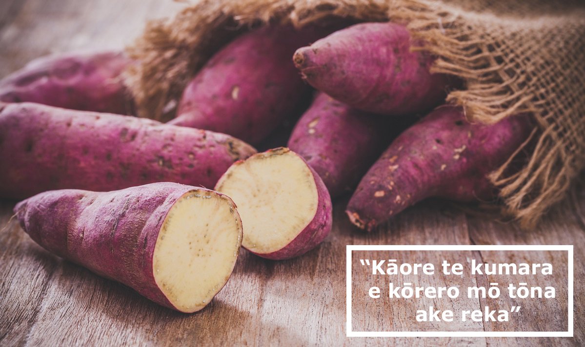 MPI_NZ's tweet photo. Māori Language Week - Proverb #1: "Kāore te kumara e kōrero mō tōna ake reka" - The kumara does not say how sweet it is.
And indeed it doesn't! As proof, here's a statistic on what it didn't brag about: Last year, domestic sales revenue for the humble kumara reached $35 million. https://t.co/sgsvt6PQm3