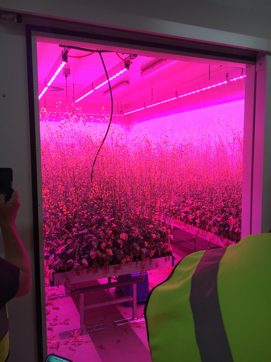 CTALiebeck's tweet photo. Ran the eye over the new @agtbreeding facility at Roseworthy. Cracker of a setup and investing in returning value to growers. Cheers @danvaterAGT. Also former research life envy with the new Winnyโs with a cab and wireless. @MADFIG14 #TTAtour https://t.co/BDiCYU9vOu