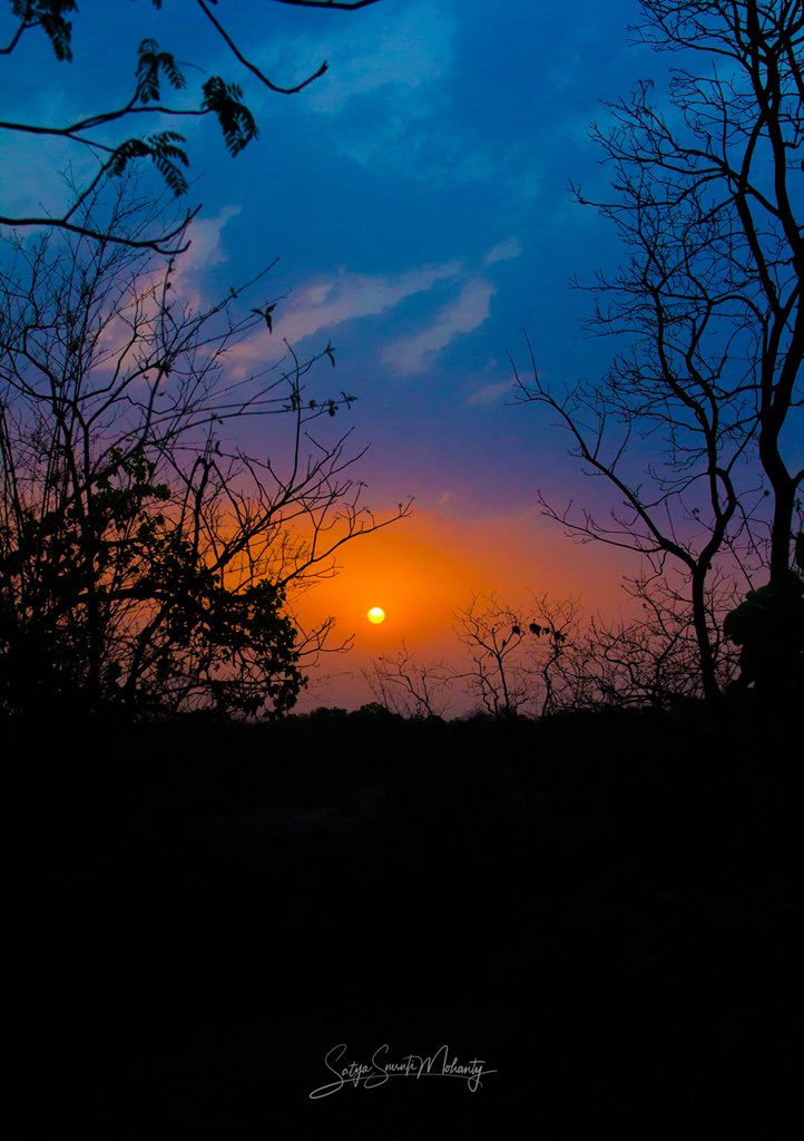 ssmohanty10's tweet photo. Sunset in Banghavgarh National Park. Shot during a summer safari trip earlier this year.
.
.
.
.
.
.
#sunset #forestsunset #forest #jungle #nature #naturephotography #beautiful #beautifulsunset #landscape #landscapephotography #sky #sun #sunsetlovers #clouds #summer https://t.co/MVkiIWAOU0