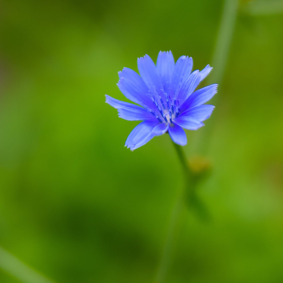 Todd Bailey (@toddbailey17) on Twitter photo 