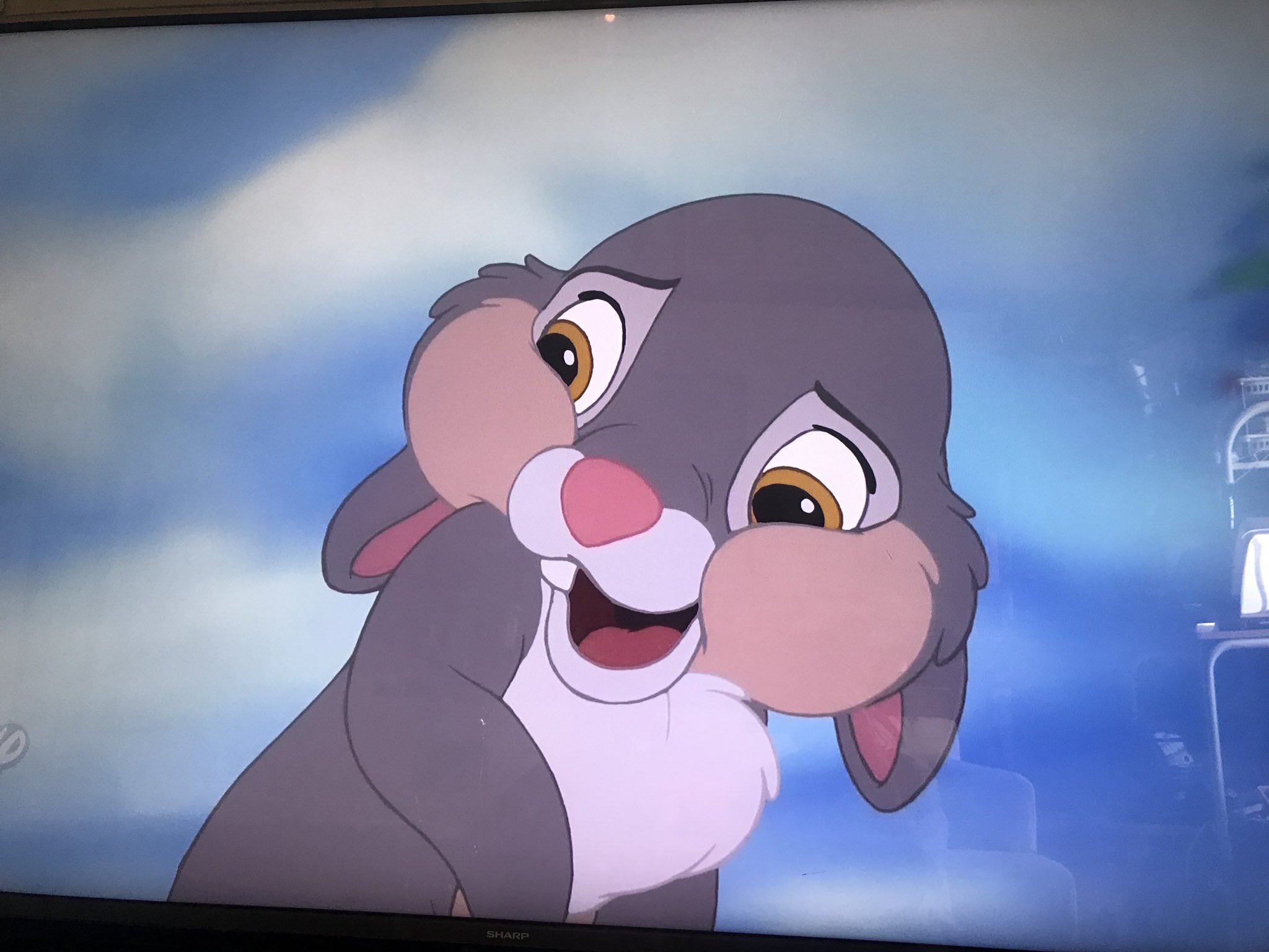 ねこ バンビ2見てるなう とんすけだいすき とんすけかわいい ずっと見てられる ふわふわしっぽとほっぺ ディズニー バンビ2 とんすけ かわいい だいすき もふもふしたい だっこしたい T Co Eegtfhwnsr Twitter ねこ バンビ2見てるなう とんすけだいすき とんすけかわいい ずっと見てられる ふわふわしっぽとほっぺ ディズニー バンビ2 とんすけ かわいい だいすき もふもふしたい だっこしたい T Co Eegtfhwnsr Twitter