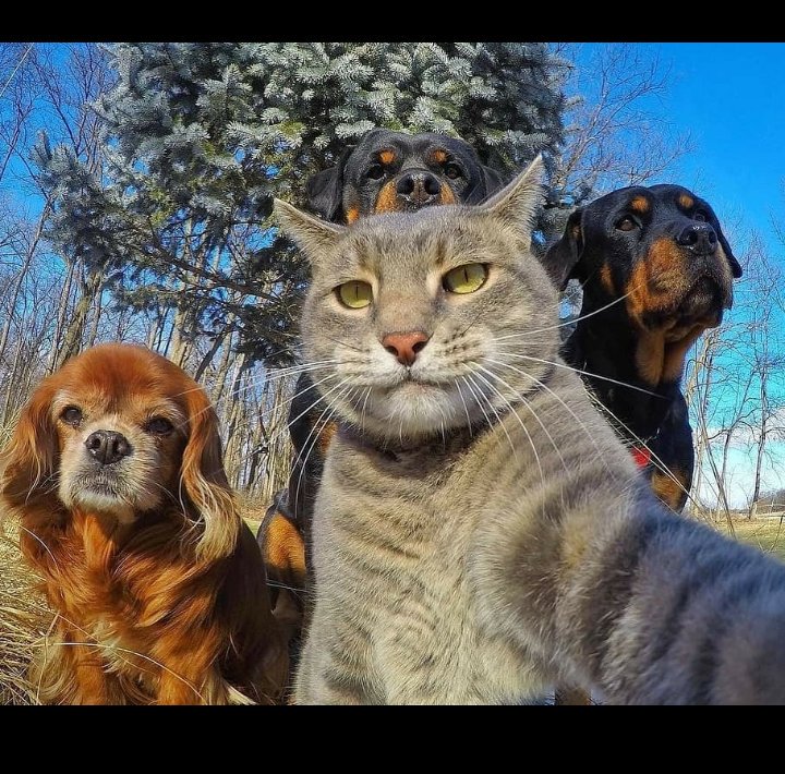 samanthabooth83's tweet photo. #selfietime 😍😍😍😍😍 https://t.co/GFyxKvQOsC