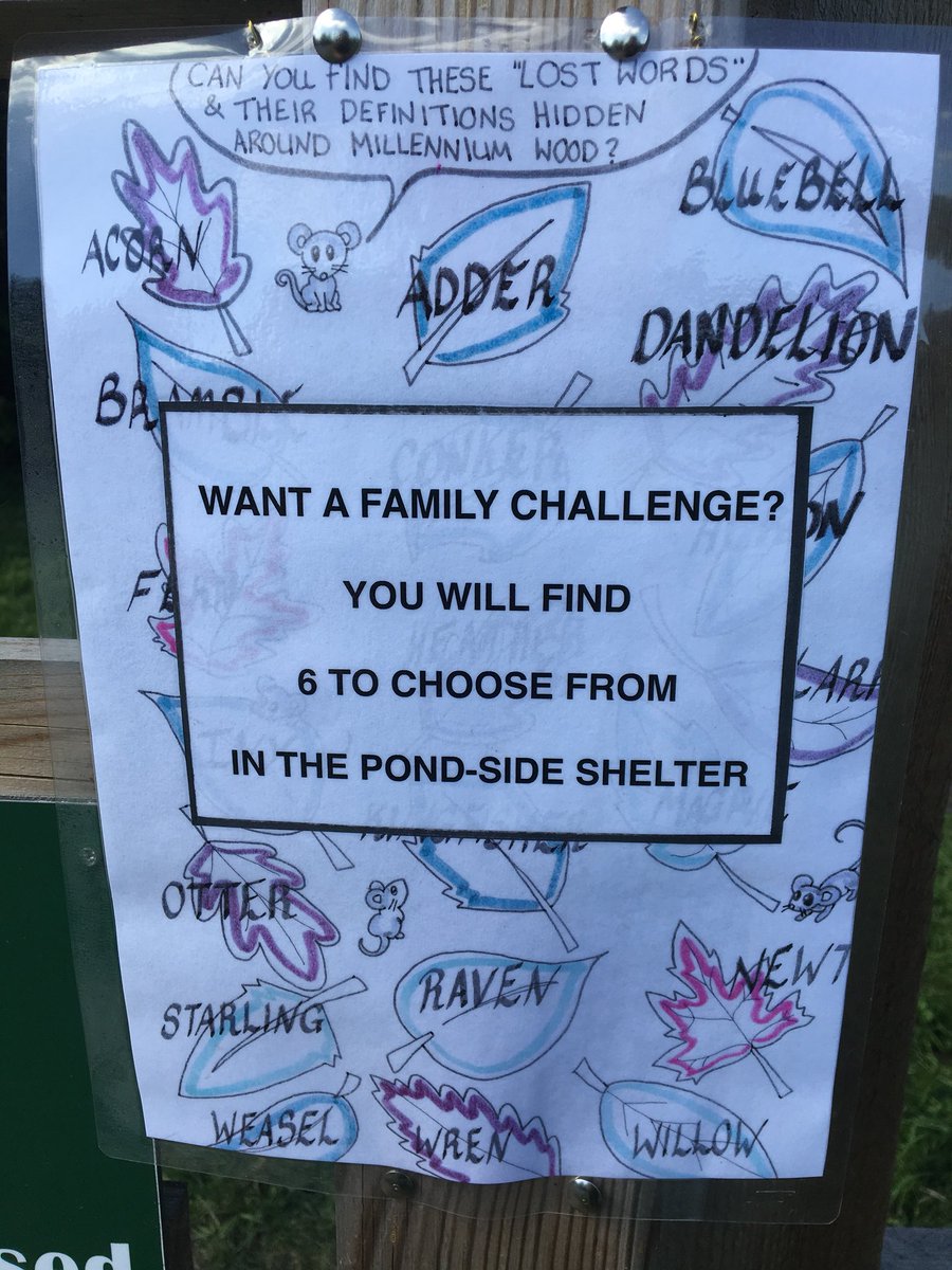 Parish2000Wood's tweet photo. Launching the new family activities at #parish2000wood open day. Come along and try them out #outdoorlearning #forestschool #woodland https://t.co/lG9tSF5QaR