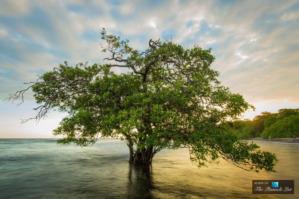 sandraquinnre's tweet photo. Tambor Resort Development Opportunity | Costa Rica 🇨🇷  
Exclusive Offering | $12,995,000 | https://t.co/o8BnJOT249
#luxury #hotel https://t.co/JP0DCRKHm6
