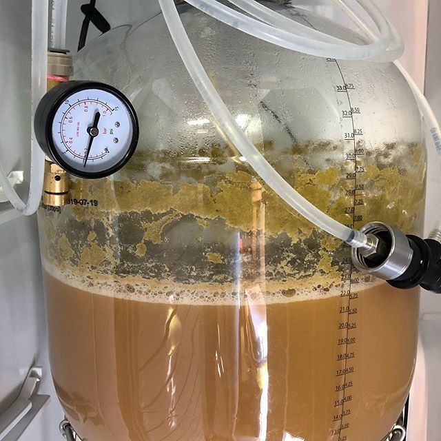 BoxHeadBrewing's tweet photo. Day two fermenting now and it looks like we had a lot of activity last night. I have to dry hop tonight as I won’t get a chance to do it any other time. Looking and smelling pretty good already though.
.
.
.
#homebrew #homebrewing #homebrewingonly #crafterbeer #brewer #brewi… https://t.co/XpV5aNWG8r