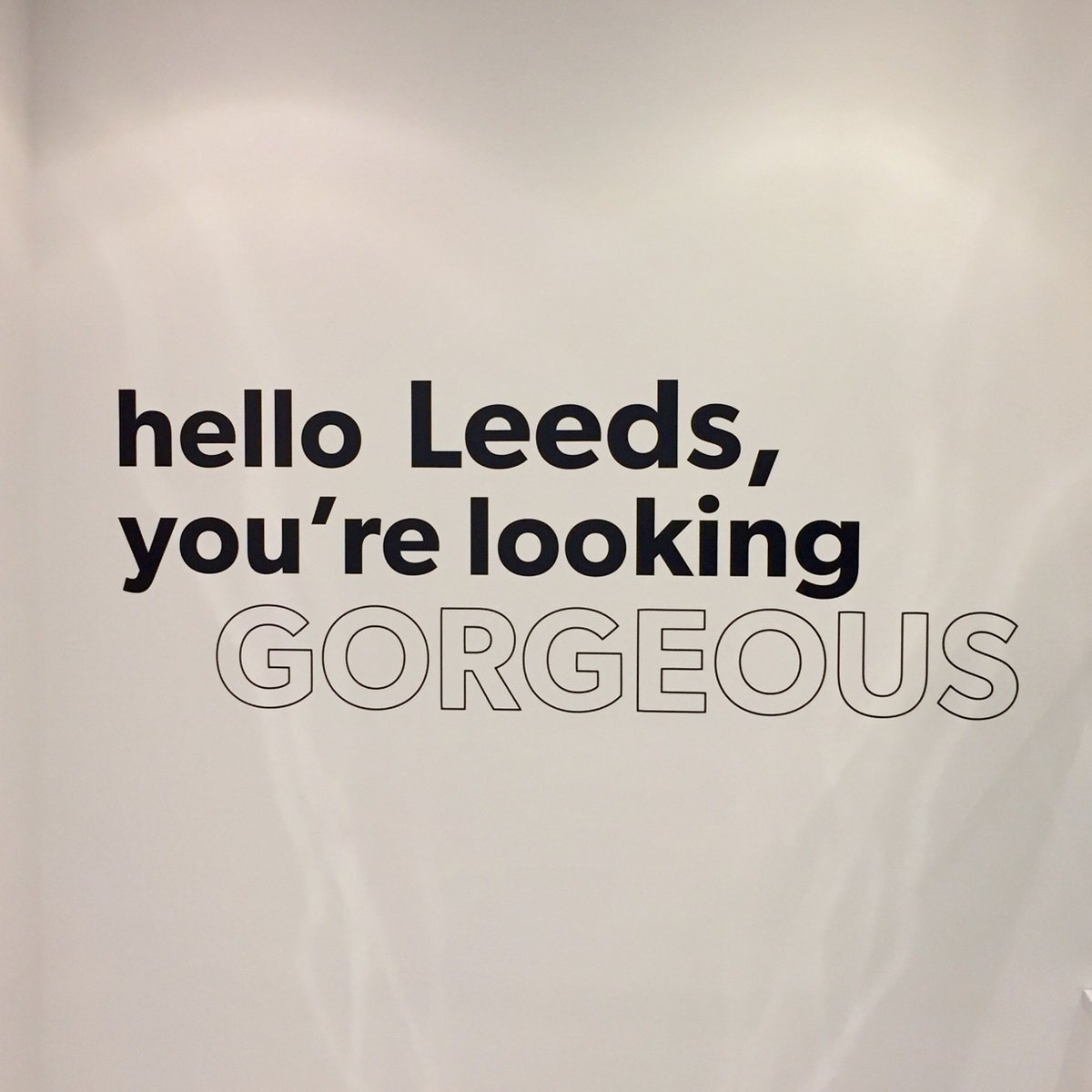 ℝ𝕠𝕦𝕟𝕕 𝔸𝕓𝕠𝕦𝕥 𝕃𝕖𝕖𝕕𝕤 tweet media