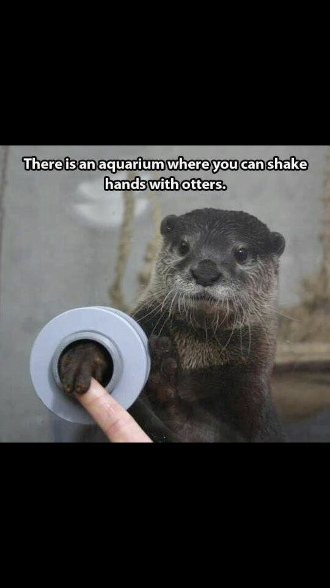 lorabora1677's tweet photo. @alykatss where is this aquarium and why isn’t it nearby ? https://t.co/77t8OTCr0Q