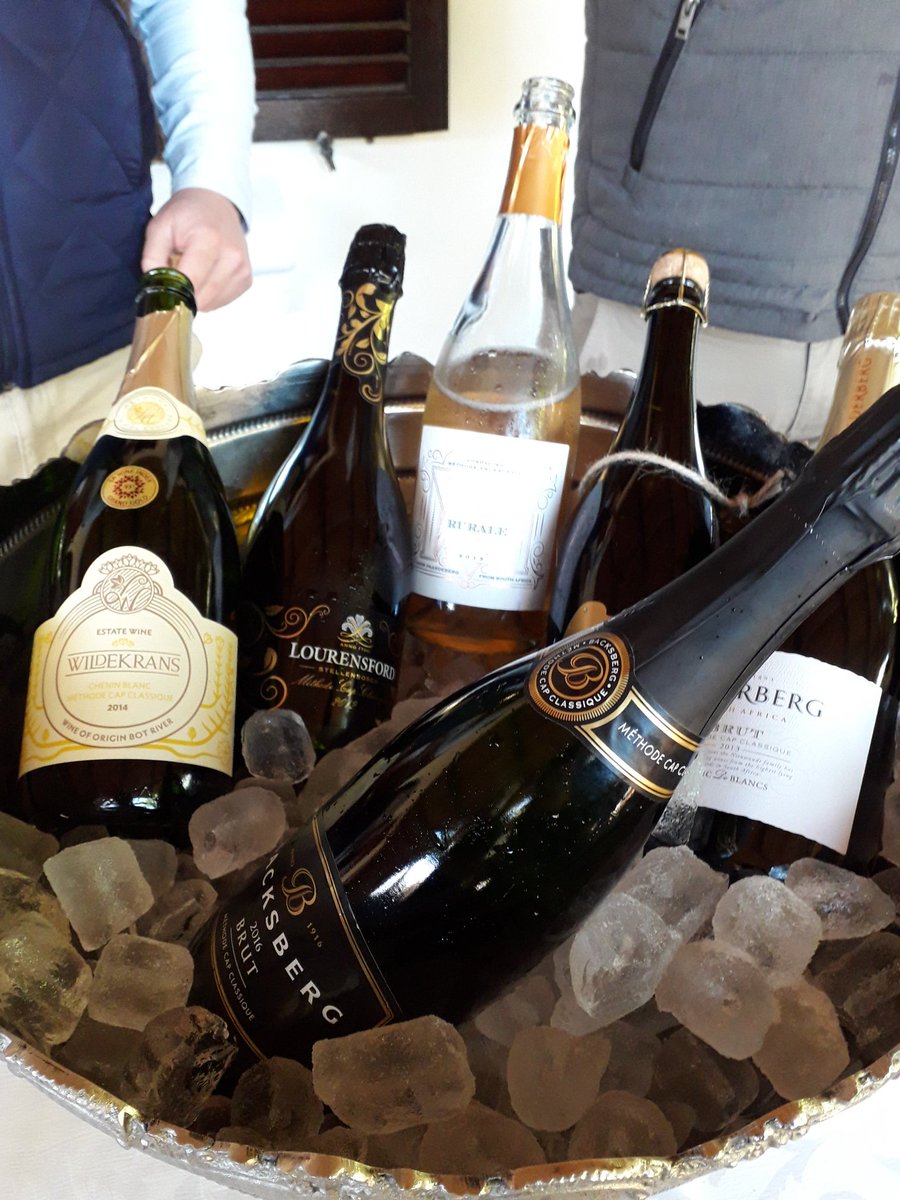 mclowe24's tweet photo. Best way to start the day! @Backsberg @EllisWines #caperoadtrip https://t.co/b7ksuCChAs