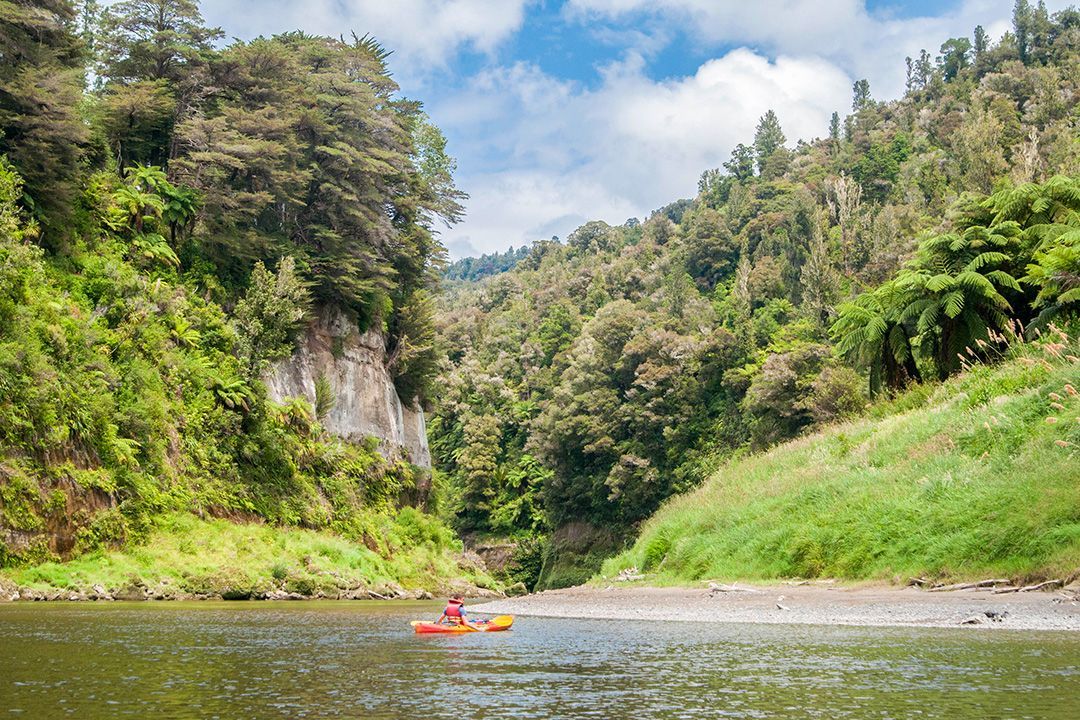 atlasandboots's tweet photo. 9 Great Walks of New Zealand https://t.co/akFC89v7Qx #bestintravel #NZMustDo https://t.co/Tz3EE16rSq